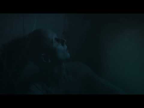 THE SOLITUDE - Ruins Of The Fallen Stars (Official Music Video)