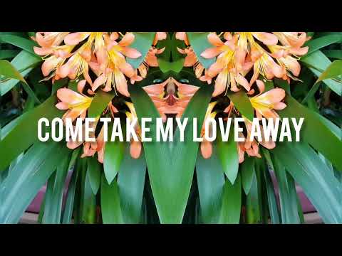 Delfoi Road - Take Me Away (Official lyric video)