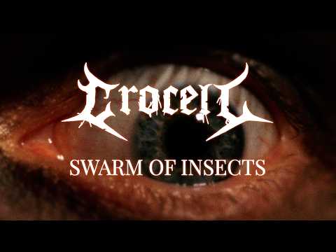 CROCELL - Swarm Of Insects (official video)