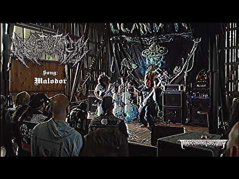CRYPTORIUM (Sweden) - Malodor OFFICIAL VIDEO (Death Metal) Transcending Obscurity Records