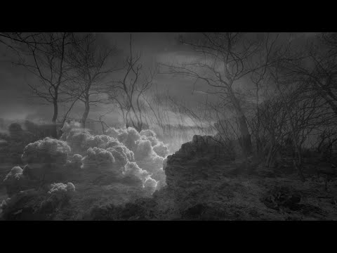 VOID PARADIGM - Tout Ira Mieux Sans Nous - Part I