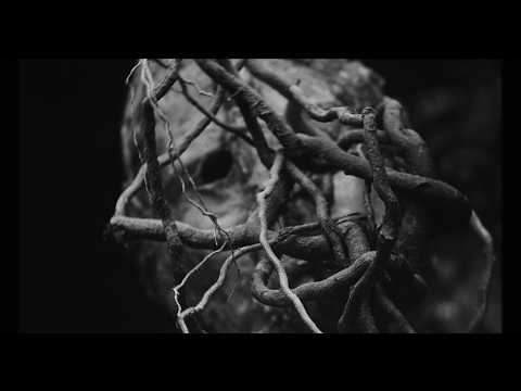 Portrayal of Guilt - Death from Above (Official Music Video)