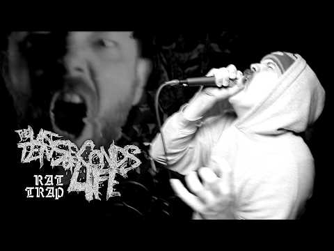 The Last Ten Seconds of Life - Rat Trap (ft. Nate Johnson) (Official Video)