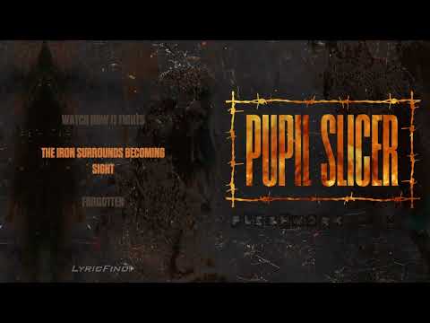 PUPIL SLICER - FLESHWORK (OFFICIAL LYRIC VIDEO)