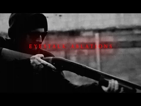 TO THE GRAVE - EYESTALK ABLATIONS (Official Video)