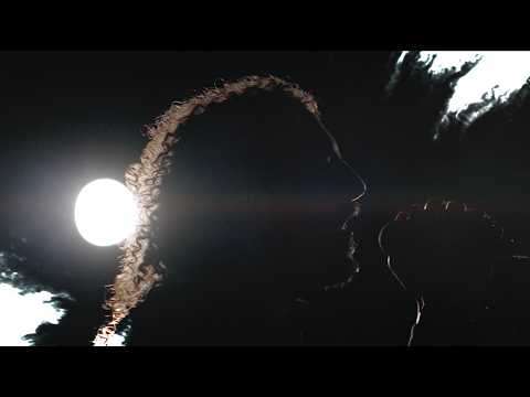 HAKEN - in a fever dream (Official Visualiser)