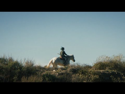 Poison The Well - Thoroughbreds (OFFICIAL MUSIC VIDEO)