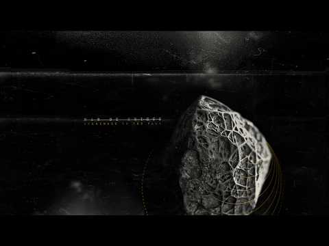 Mar de Grises - Surrender to the Fall (Official Lyric Video)