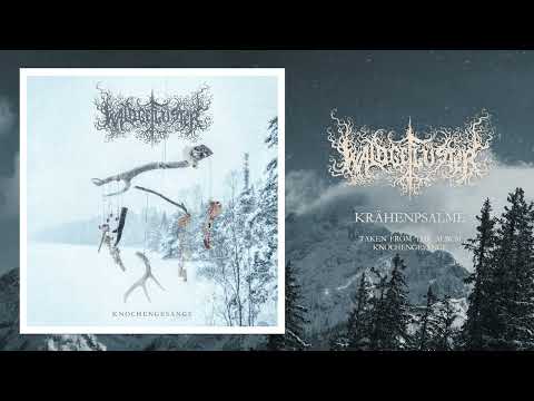 Waldgeflüster - Krähenpsalme feat. Austin // Panopticon (New Track 2025)
