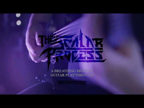 THE SCALAR PROCESS - A Breathing Moment GUITAR PLAYTHROUGH VIDEO | Transcending Obscurity Records