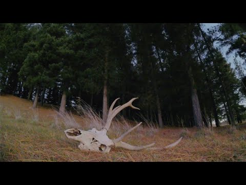 Olde Throne - The Most Elder Days (Official Music Video)