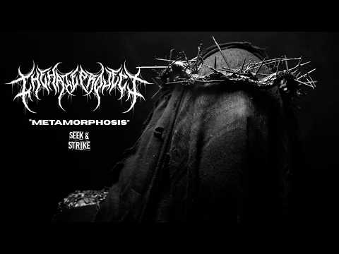 The Hate Project - 'Metamorphosis' (Official Music Video)