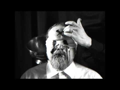 Se, Josta Ei Puhuta - Varis (Official Music Video)