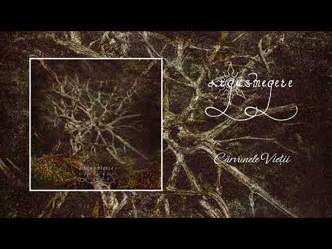 Argus Megere - Cărvunele Vieții (Official Track)